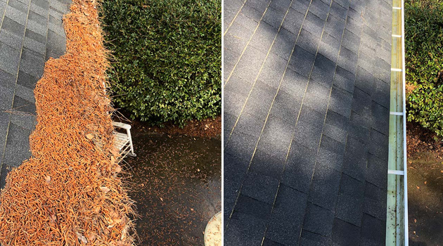 Gutter Cleaning Statesboro GA