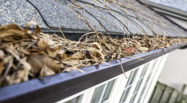 gutter cleaning Statesboro GA